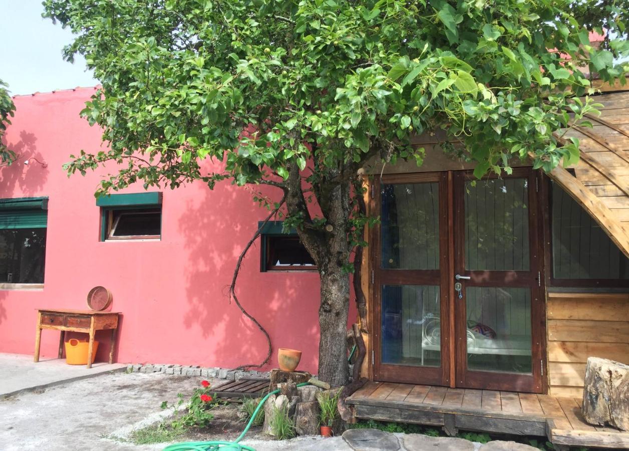 Maceda Surf Camp Villa Exterior photo